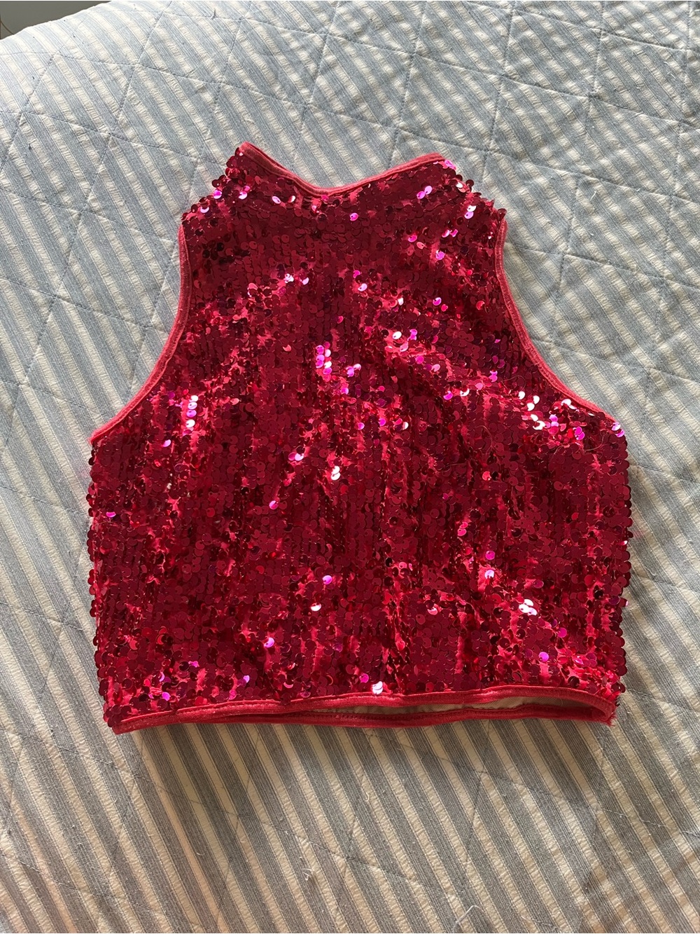 balera Hot Pink Sequin Crop Top
